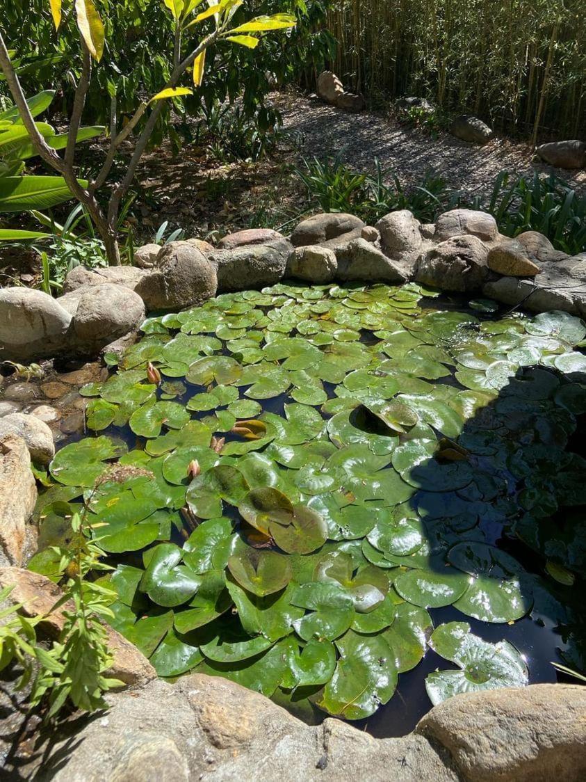 Huayapam Yu'U Lodge San Andrés Huayapan Εξωτερικό φωτογραφία